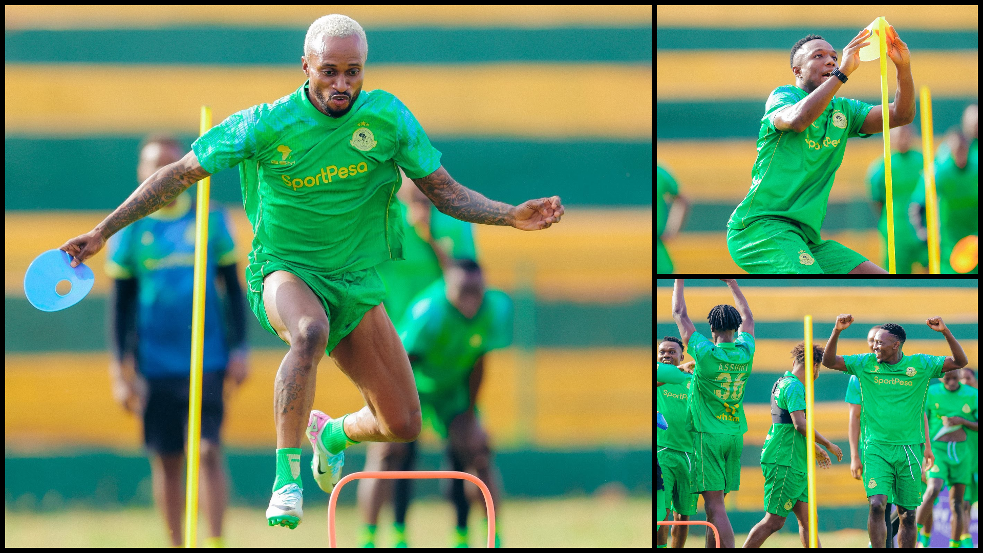 MALUMO Pict