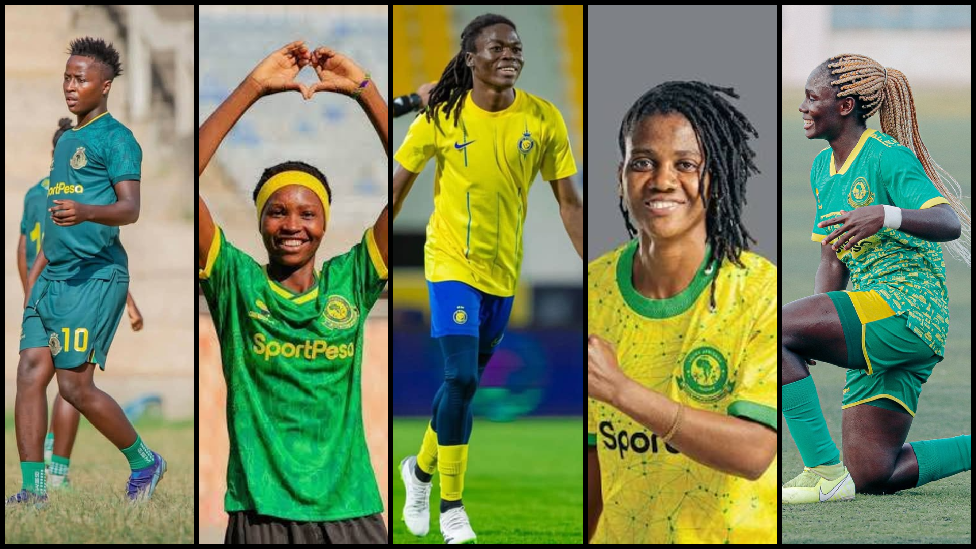 YANGA Pict