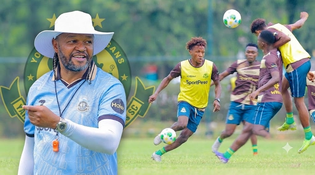 YANGA Pict