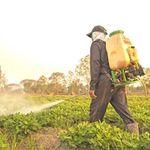 pesticides-