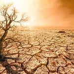 climate