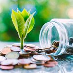 Green Economy