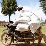 DNNAXFERTILISER3009d