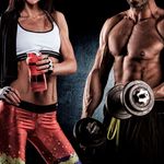 BDMUSCLES