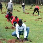 planting2