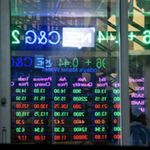 nse (2)