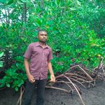 BDCARBONCREDIT