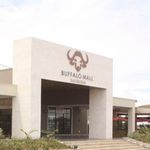 BdBuffalo2