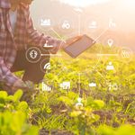 BDDIGITALFARMING (2)