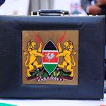 Budget briefcase