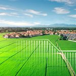 BDRealestate