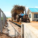 DNKsmWEIGHBRIDGE0906(4)