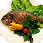 tf3105fish