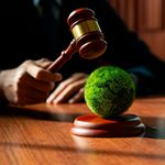 BDCLIMATECHANGECOURT