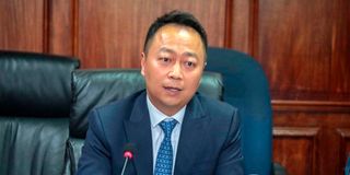 DNBungeHuawei2811sq(2)