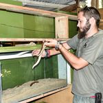 DN COAST SNAKE NTD 2012D