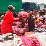 Onions