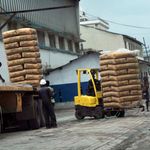 Tea for export