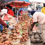 Irish potatoes