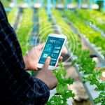 Agriculture dominates AI use
