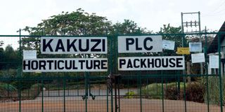 KAKUZI