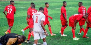 ZPL Pict